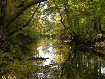 petrifying_springs_wisconsin