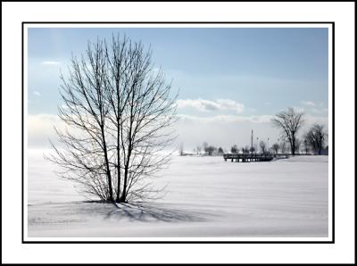 Beauty of Nature ...