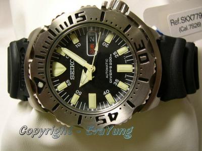 SKX779K.DSCN2621a.JPG