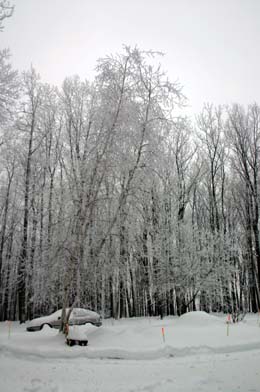 u39/lowertech/upload/25516962.Jan20042.jpg
