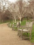 Benches in St. James Park