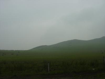 糿