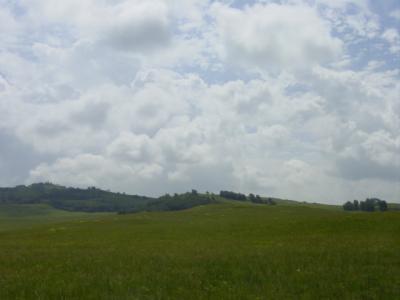 DSC03888.JPG