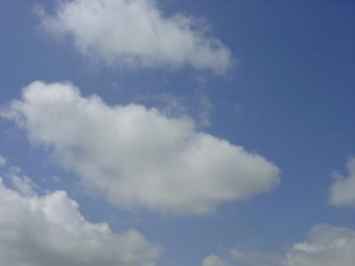 DSC03889.JPG