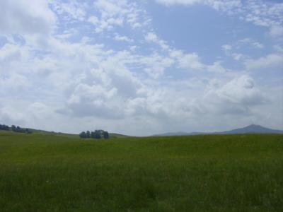 DSC03893.JPG