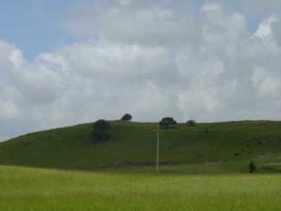 DSC03903.JPG