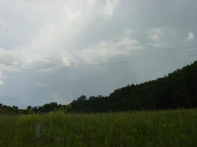 DSC03942.JPG