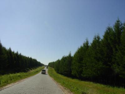 DSC03992.JPG