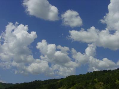 DSC04002.JPG