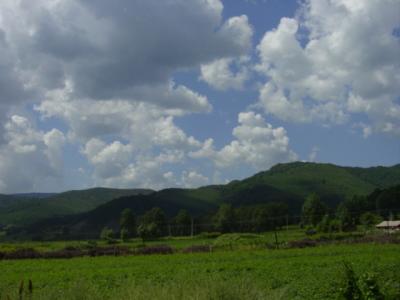 DSC04003.JPG