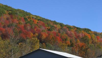 Mid October Hillside