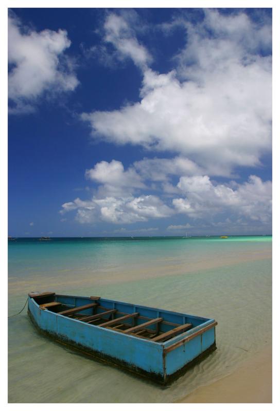 blue banca.jpg