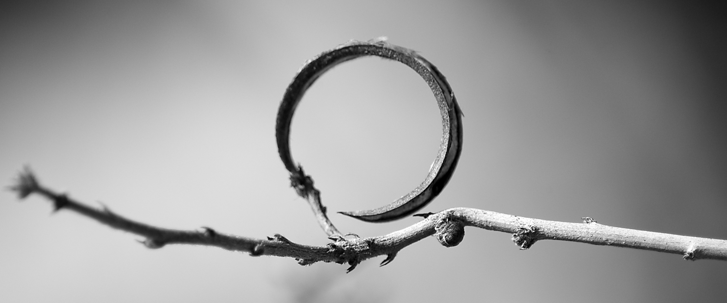 Ring1