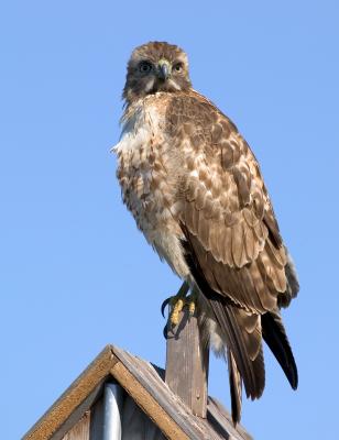7402w.jpg