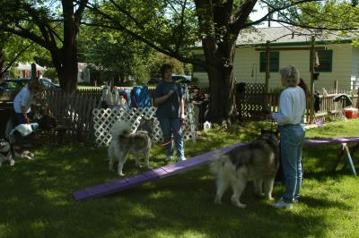 u39/marksturtz/medium/34986300.Dsc_1010.jpg