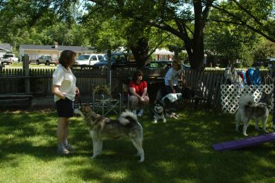 u39/marksturtz/medium/34986301.Dsc_1011.jpg