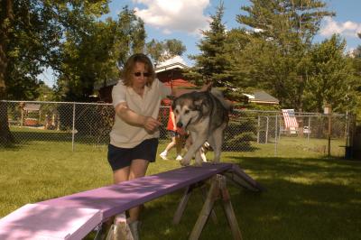 u39/marksturtz/medium/34986316.Dsc_1025.jpg