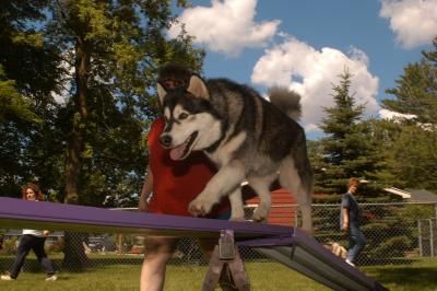 u39/marksturtz/medium/34986320.Dsc_1029.jpg