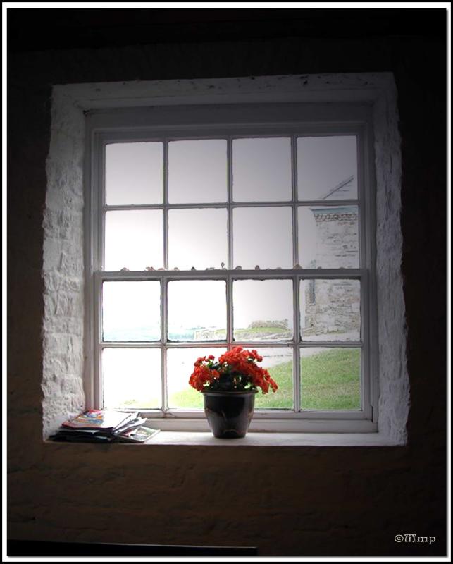 Tea Room_Charles Fort