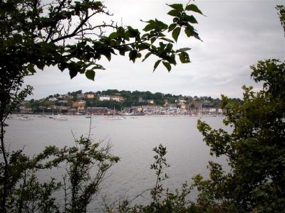 View through the trees