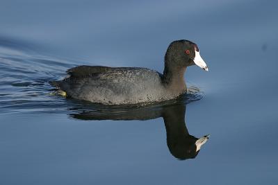 IMG_3030{Q}.jpg