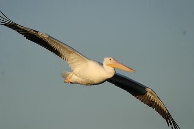 IMG_3182{Q}{Q}.jpg