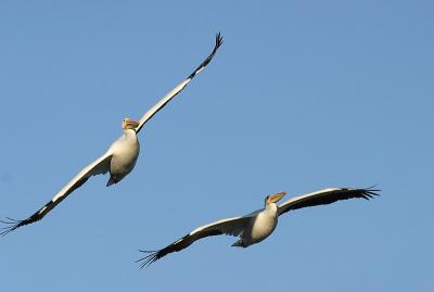 IMG_3528{Q}.jpg