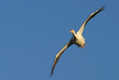 IMG_3562{Q}{Q}.jpg