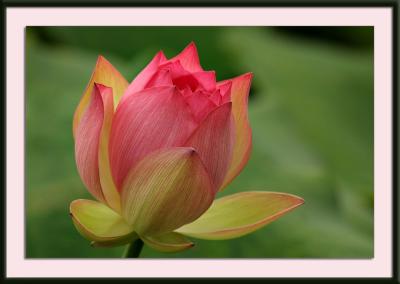 IMG_9253{Q}.jpg