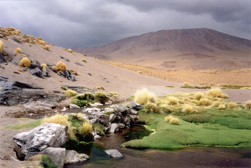 Laguna Colorada, Bolivia