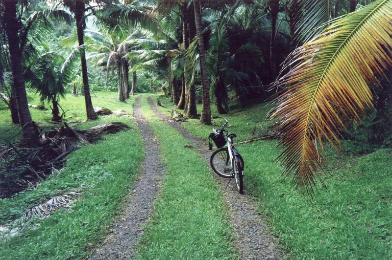 Rarotonga, Cook Islands