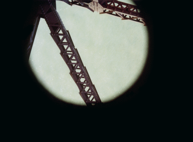 Full Moon Behind Crane