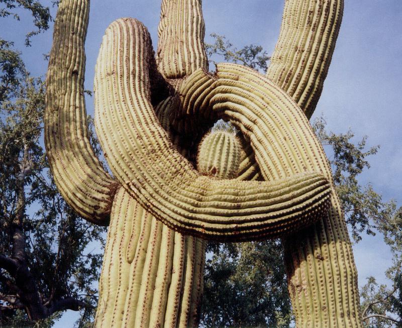 Red Rock, Arizona