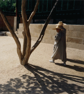 Buddhist Nuns