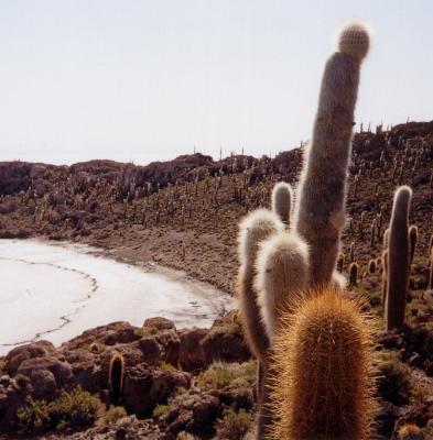 Isla de Pescadores, Bolivia