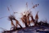 White Sands, New Mexico