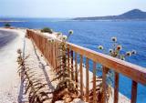 Southern Turkish Coast