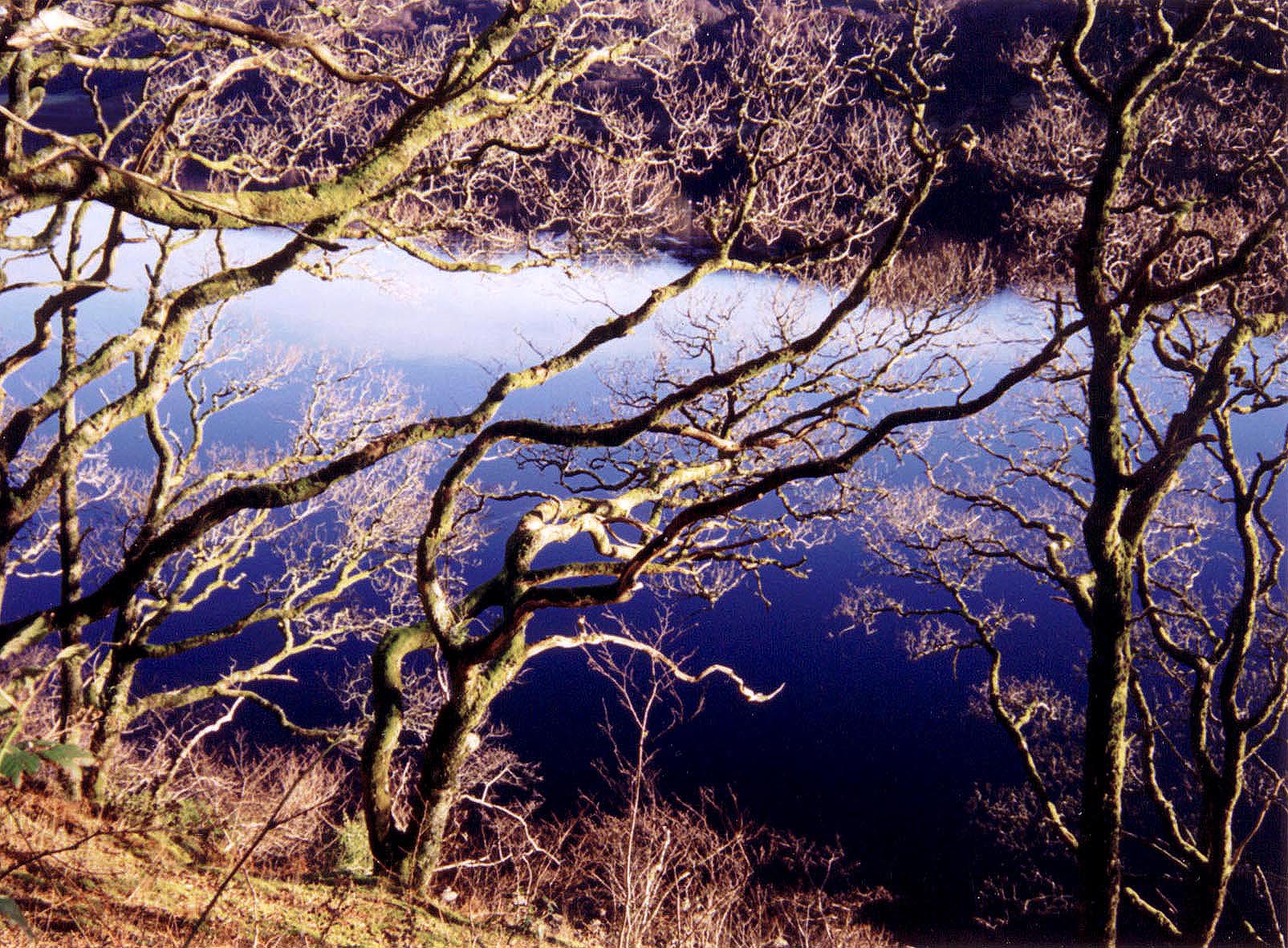 Isle of Mull, Scotland