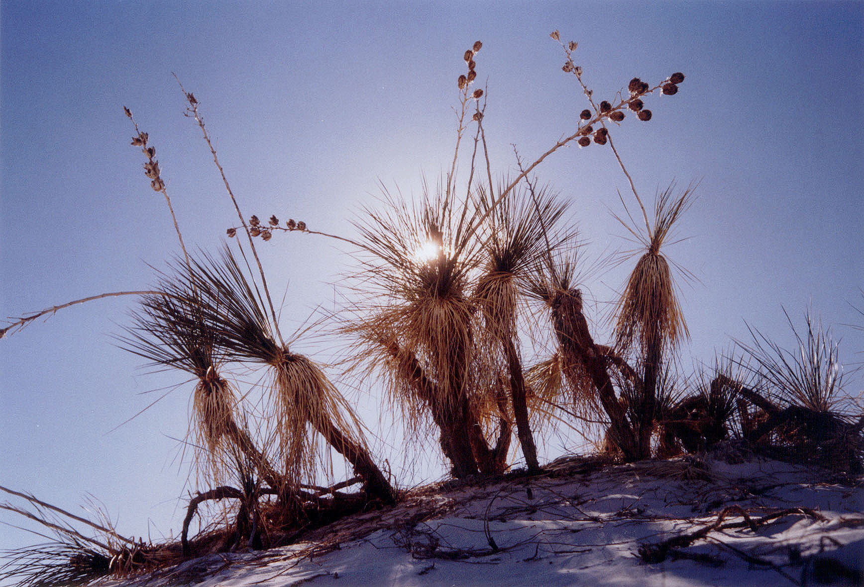 White Sands, New Mexico