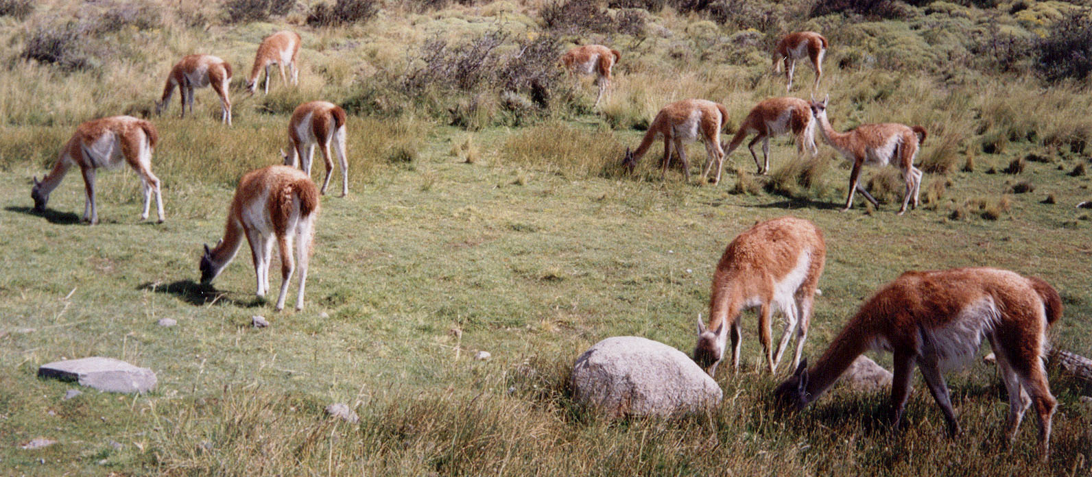 Torres del Paine, Chile