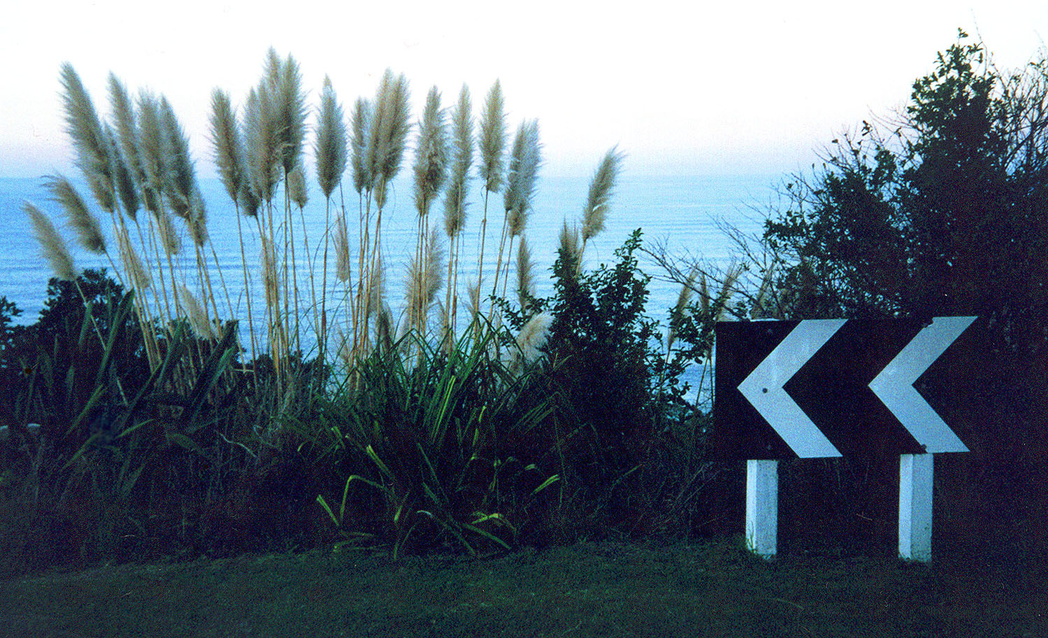 Coromandel Peninsula, NZ