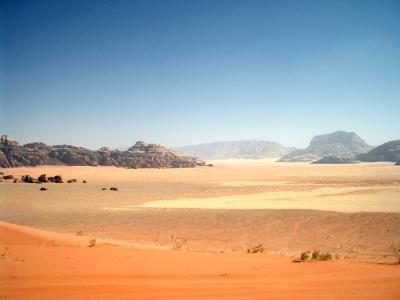 u39/matancom/medium/35004978.MorninghaseinwadiRam.jpg