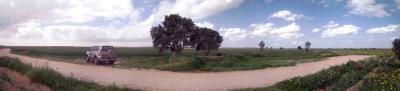 western_negev