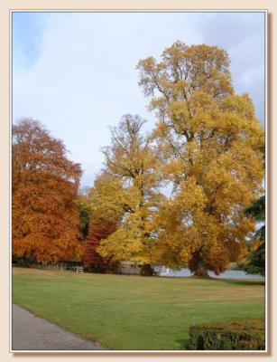 Autumn at Longleat