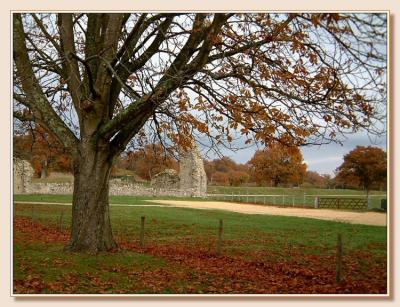 Abbey ruins at Beaulieu