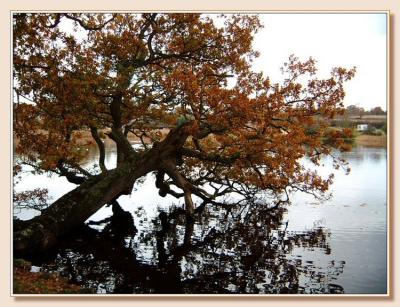 Autumn at Beaulieu