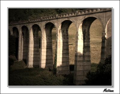 Cannington Viaduct