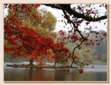 Autumn at Stourhead