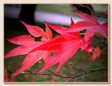 Autumn at Stourhead