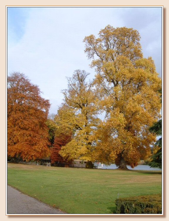 Autumn at Longleat